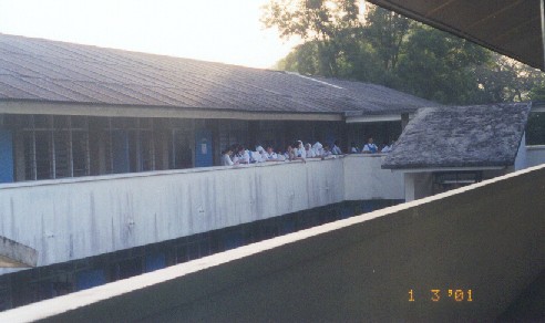 A beach house; Actual size=240 pixels wide